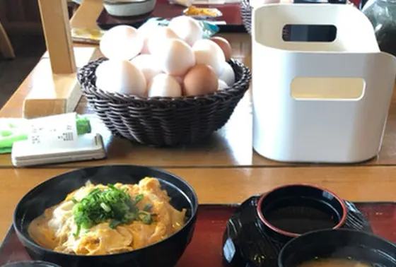 生みたて卵食べ放題