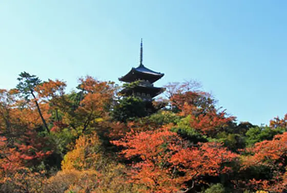旧燈明寺三重塔