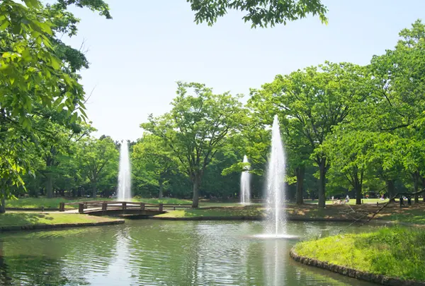 代々木公園