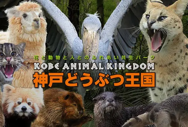 神戸どうぶつ王国