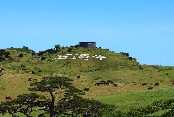 石垣島の写真・動画_image_35802