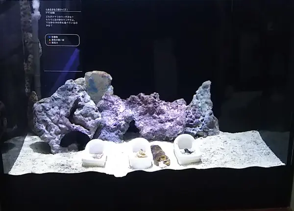 便器