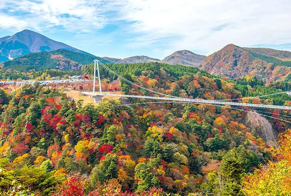 九重“夢”大吊橋
