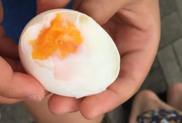 東郷湖で温泉たまご♪　東郷～はわい～三朝
